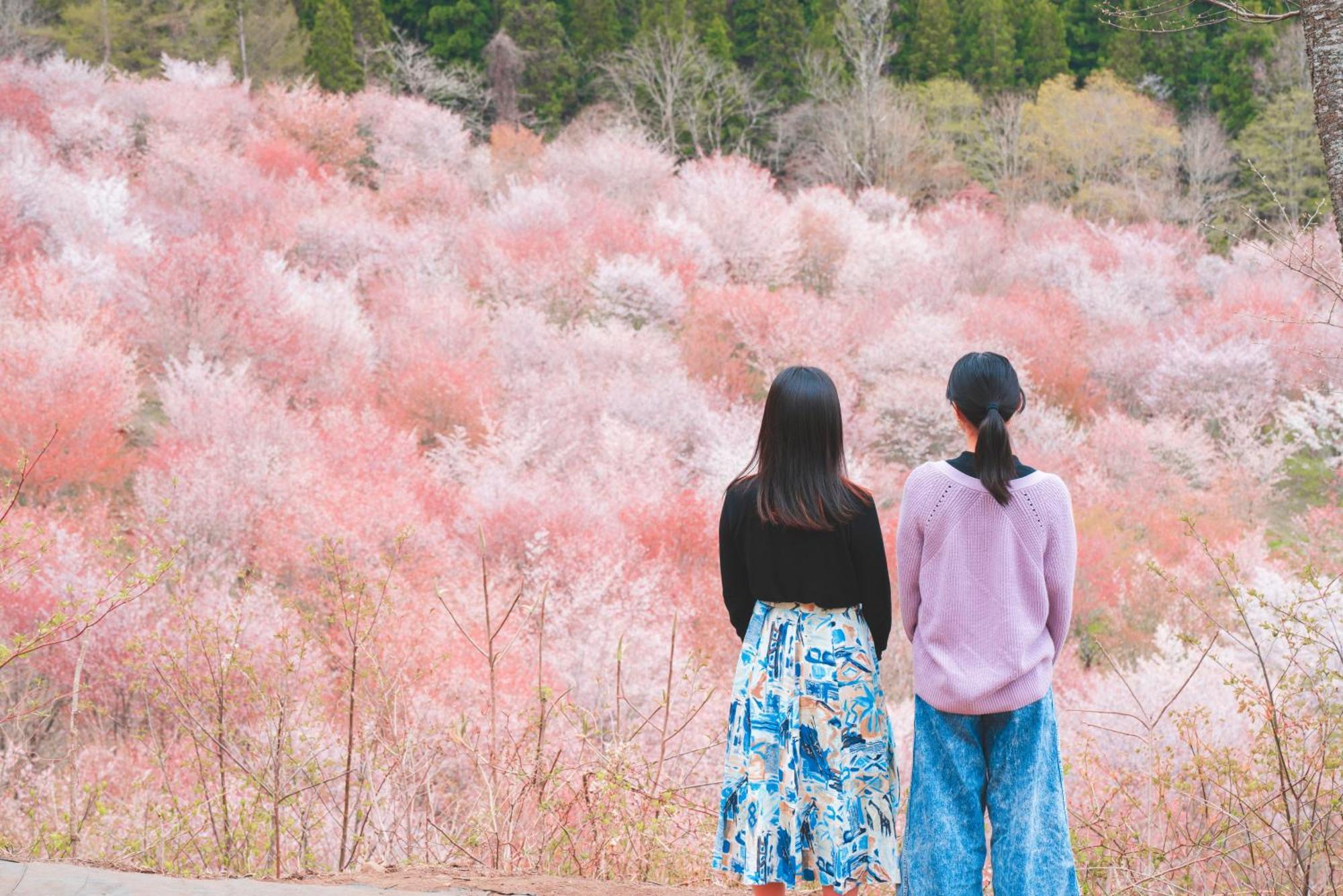 Urabandai Lake Resort Geihinkan Nekoma Rikyu Kitashiobara Εξωτερικό φωτογραφία