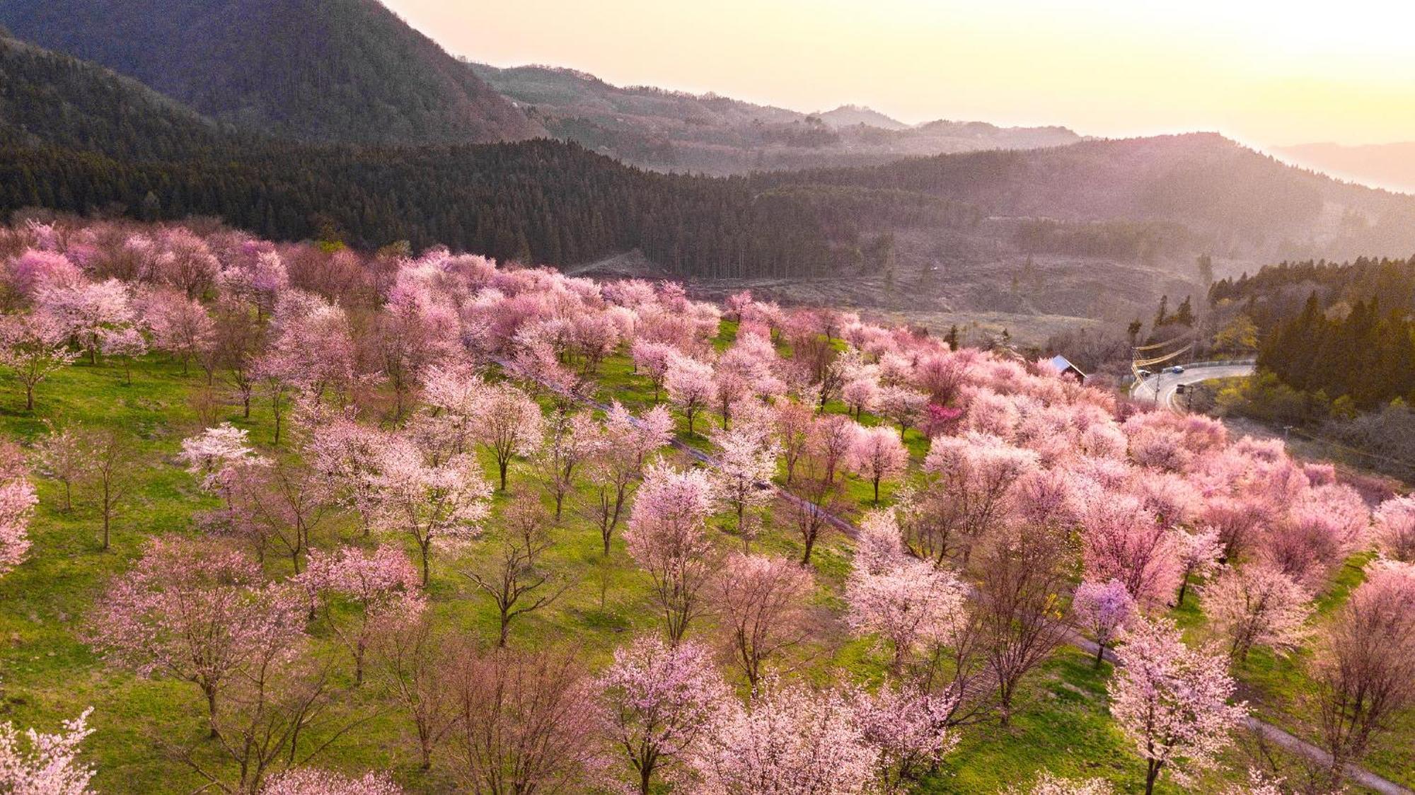 Urabandai Lake Resort Geihinkan Nekoma Rikyu Kitashiobara Εξωτερικό φωτογραφία